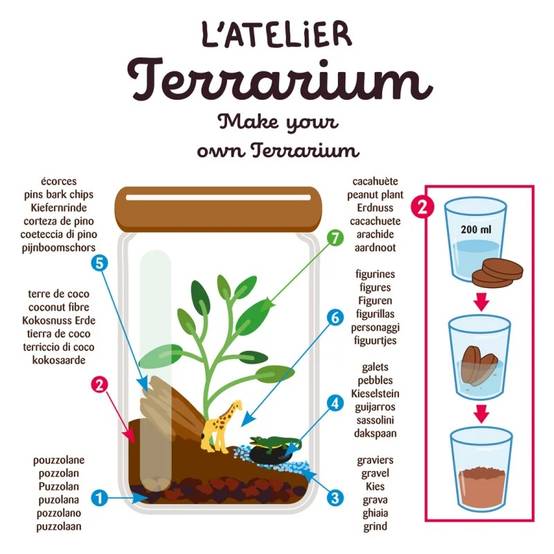 Terrarium Savane – TERRARIUM DE LA SAVANE - Image 6