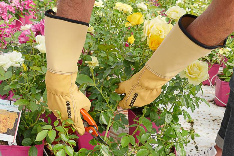 Rostaing - Gants Roseraie - ROSIER - Image 5
