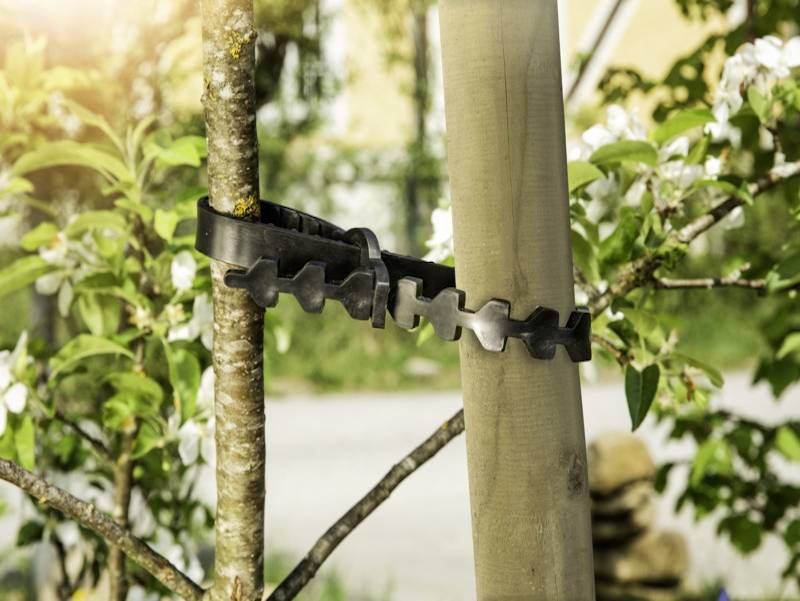 Tuteur plantes bois droit rond Ø 4 cm L 150 cm – WINDHAGER - Image 1