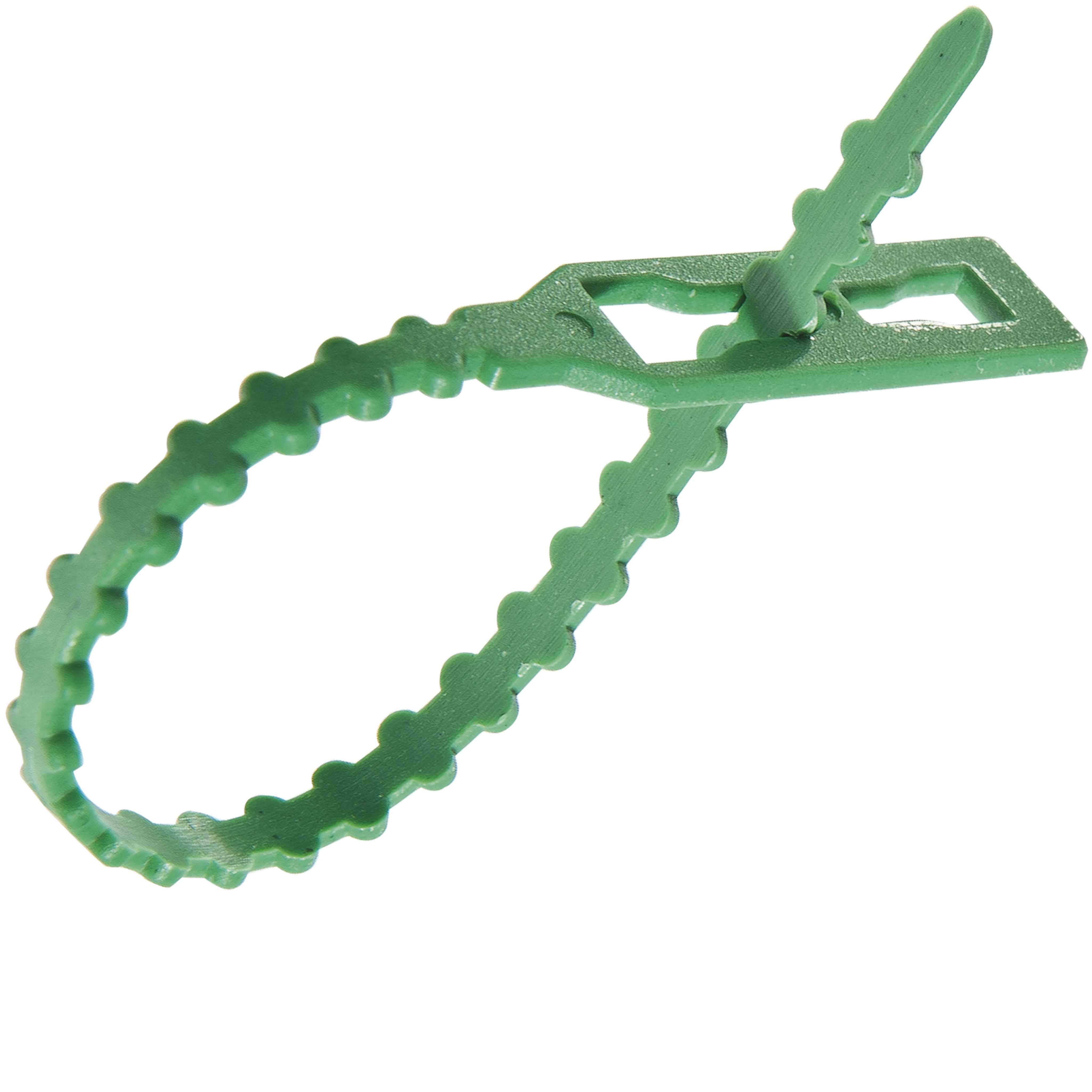 Liens horticoles crantés et réglables L.13 cm (x50) - Image 1