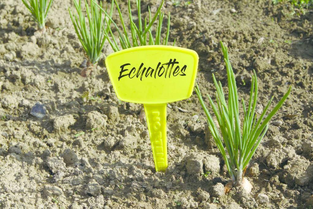 Nortène - LABEL 35 - Étiquette à planter - Image 2