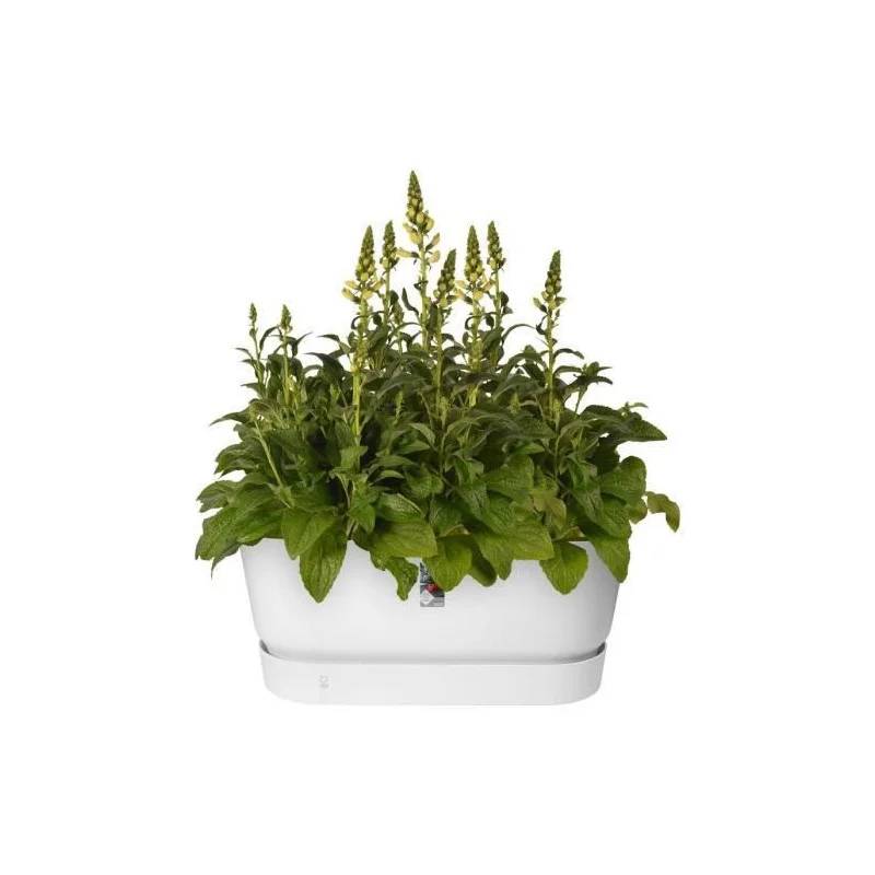 Jardinière réservoir eau – ELHO - Image 13