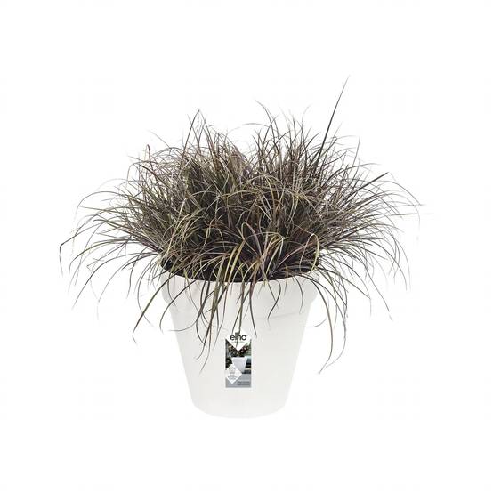 Pot de Fleurs Rond Plastique Blanc Ø 40 cm H 35 cm – ELHO - Image 5