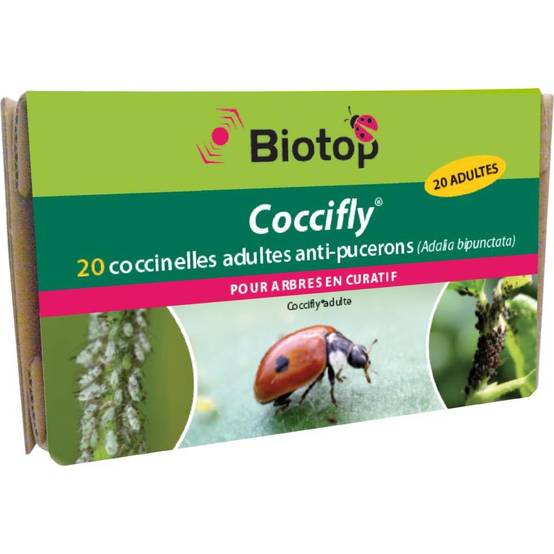 Biotop - Coccinelles adultes Coccifly anti pucerons x20 - Image 3