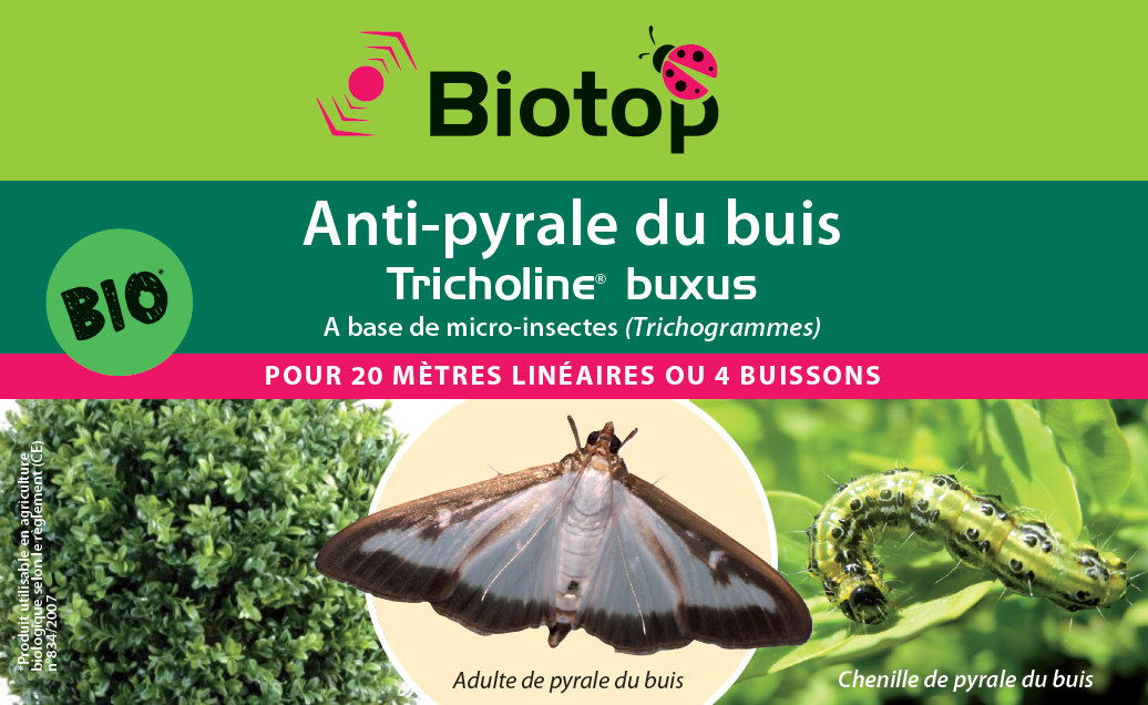 Greenapy - Anti-pyrale du buis trichogrammes Tricholine Buxus boîte de 4 diffuseurs - Greenapy - Image 3