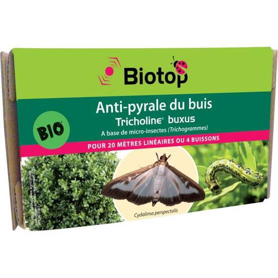 Greenapy - Anti-pyrale du buis trichogrammes Tricholine Buxus boîte de 4 diffuseurs - Greenapy - Image 4