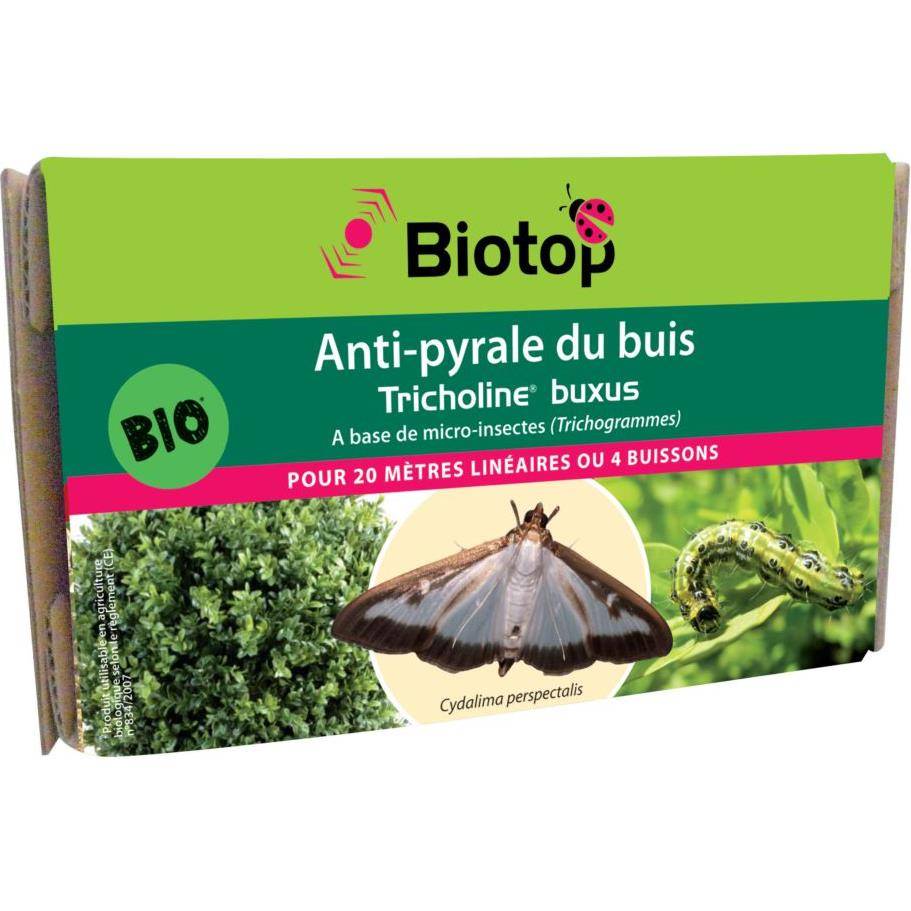 Greenapy - Anti-pyrale du buis trichogrammes Tricholine Buxus boîte de 4 diffuseurs - Greenapy - Image 4