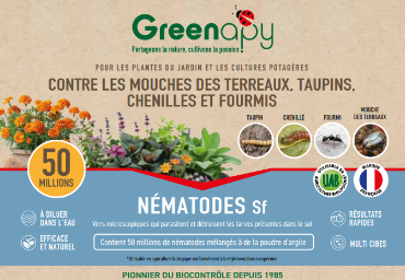 Greenapy - Nématodes pour la protection du jardin Steinernema feltiae boîte de 50 millions - Greenapy - Image 1