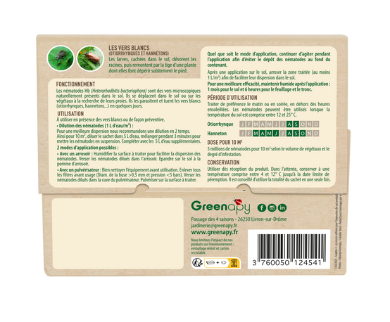 Greenapy - Nématodes anti vers blancs Heterorhabditis bacteriophora 1 boîte de 5 millions - Greenapy - Image 8