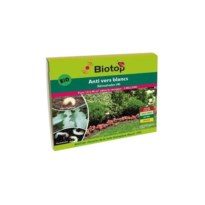 Greenapy - Nématodes anti vers blancs Heterorhabditis bacteriophora 1 boîte de 5 millions - Greenapy - Image 4