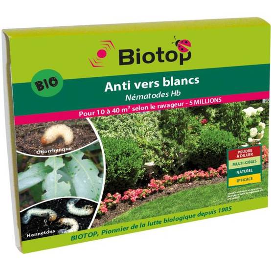 Greenapy - Nématodes anti vers blancs Heterorhabditis bacteriophora 1 boîte de 5 millions - Greenapy - Image 5