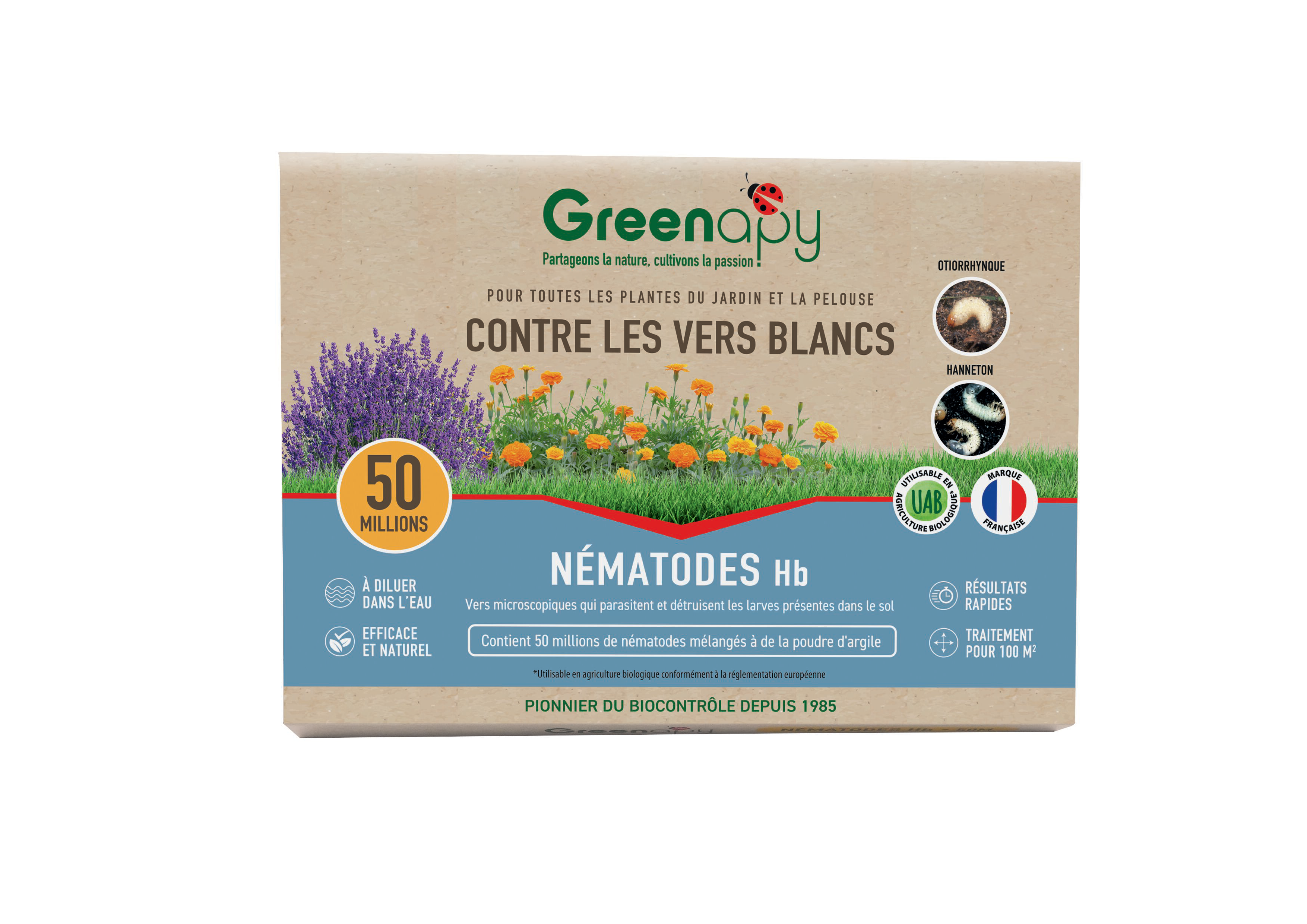 Greenapy - Nématodes anti vers blancs Heterorhabditis bacteriophora boîte de 50 millions - Greenapy - Image 1