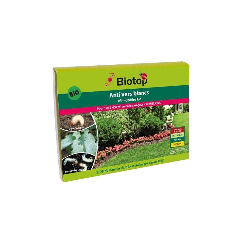 Greenapy - Nématodes anti vers blancs Heterorhabditis bacteriophora boîte de 50 millions - Greenapy - Image 2