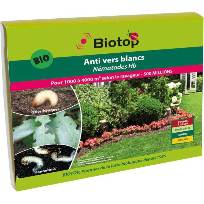 Greenapy - Nématodes anti vers blancs Heterorhabditis bacteriophora boîte de 50 millions - Greenapy - Image 5