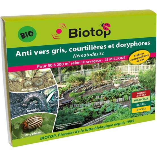 Greenapy - Nématodes anti vers gris et doryphores Steinernema carpocapsae boîte de 25 millions - Greenapy - Image 5