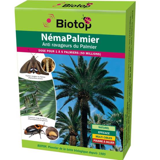 Greenapy - Nématodes utiles spécial ravageurs du palmier Steinernema carpocapsae boîte de 50 millions- Greenapy - Image 3