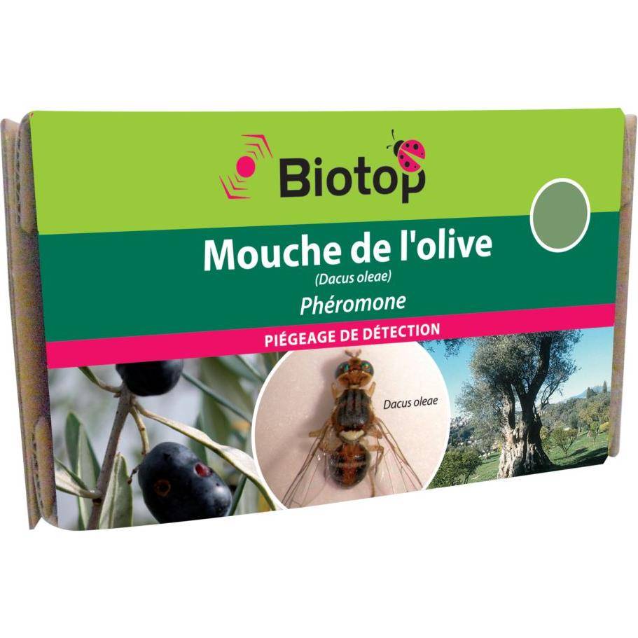Greenapy - Phéromone Mouche de l'olive Dacus (Bactrocera) oleae boîte de 2 capsules - Greenapy - Image 2
