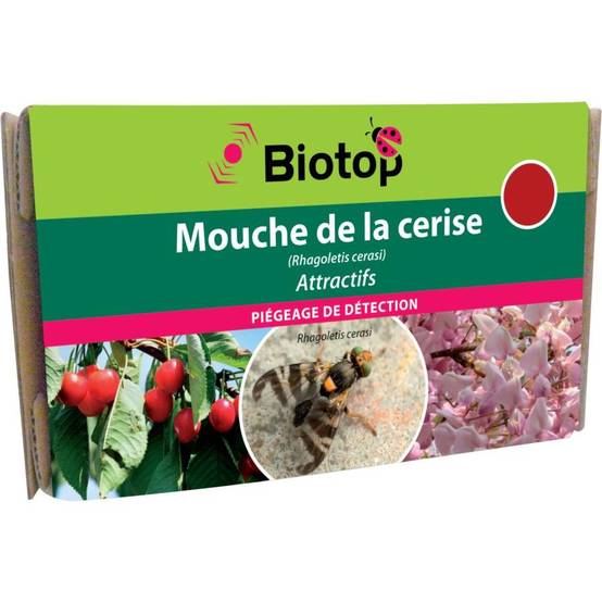 Greenapy - Attractif Mouche de la cerise boîte de 2 capsules - Greenapy - Image 2