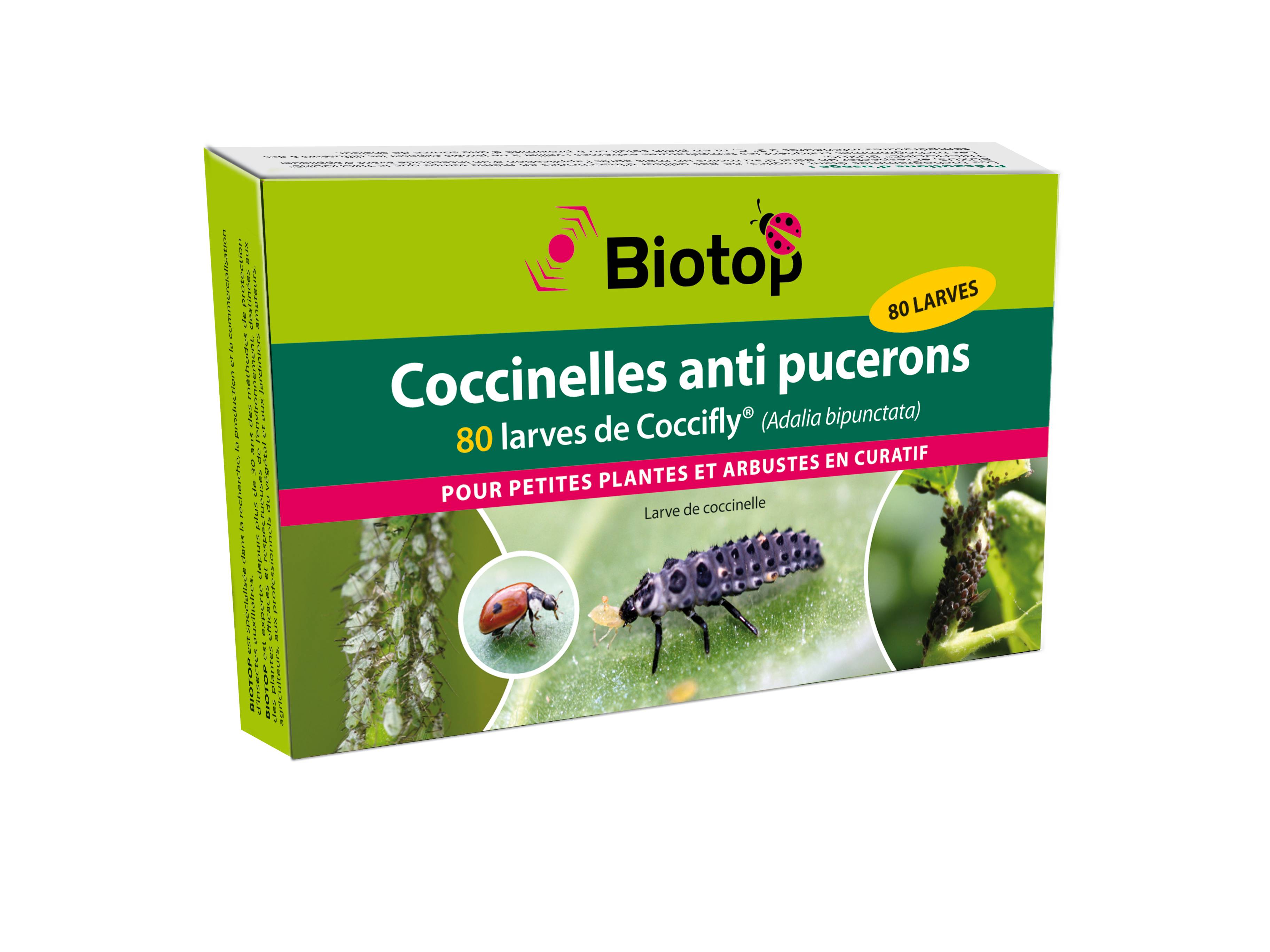 Acheter Des Coccinelles Gamm Vert