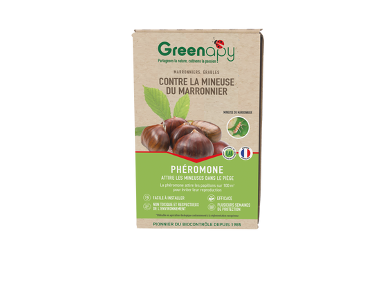 Greenapy - Phéromone Mineuse du marronnier Cameraria ohridella boîte de 2 capsules - Greenapy - Image 1