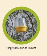 Greenapy - Carnet phéromones et attractifs pour piégeage des adultes - Image 6
