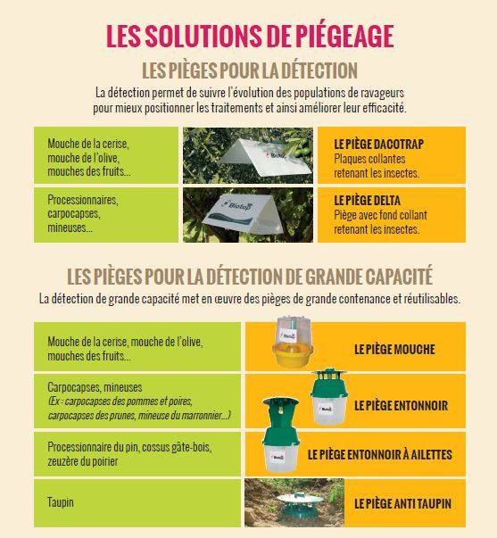 Greenapy - Carnet phéromones et attractifs pour piégeage des adultes - Image 5