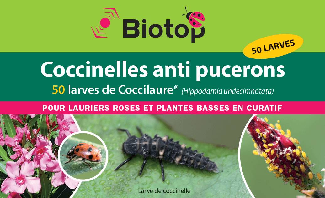 Biotop - Prépayé coccinelles larves Coccilaure anti pucerons x50