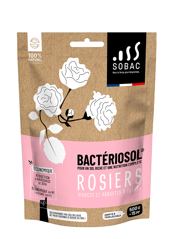 Eco-fertilisant Bactériesol - BACTERIOSOL - Image 2