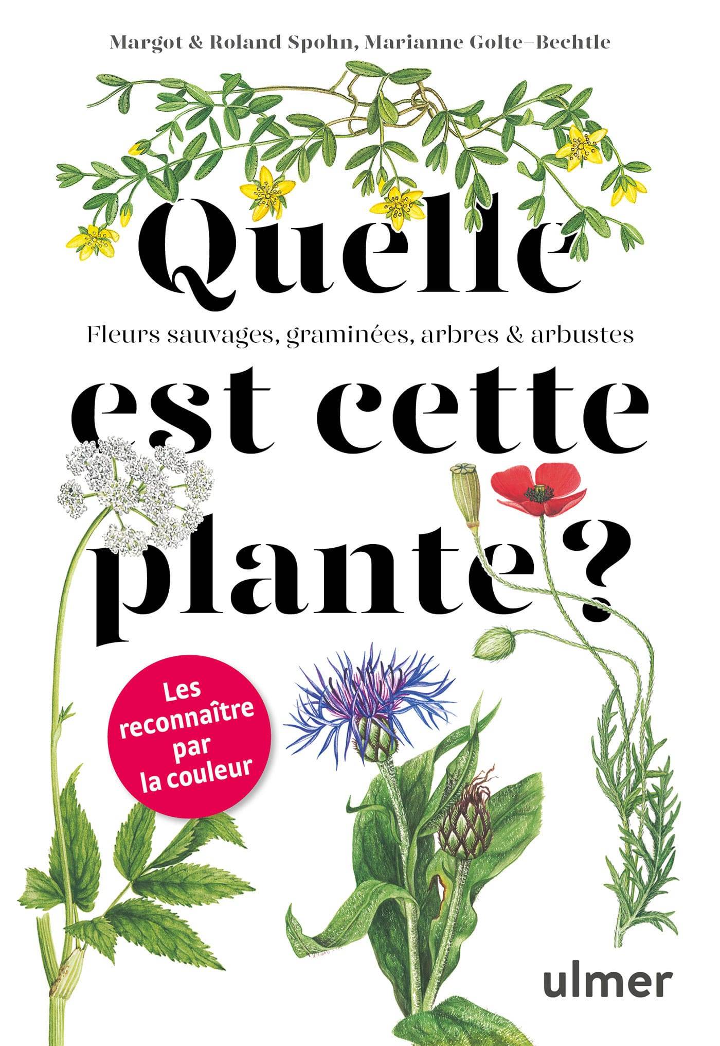 Ulmer - Quelle est cette plante ?