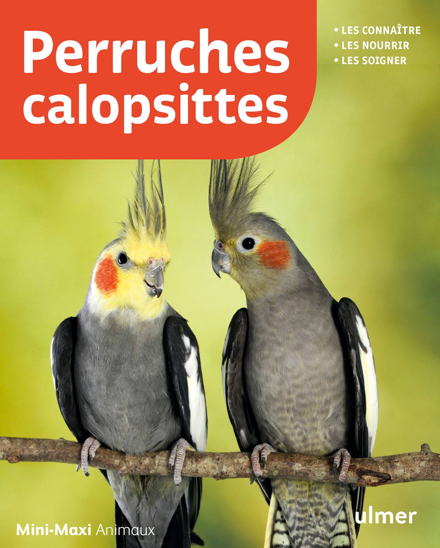 Ulmer - Perruches calopsittes