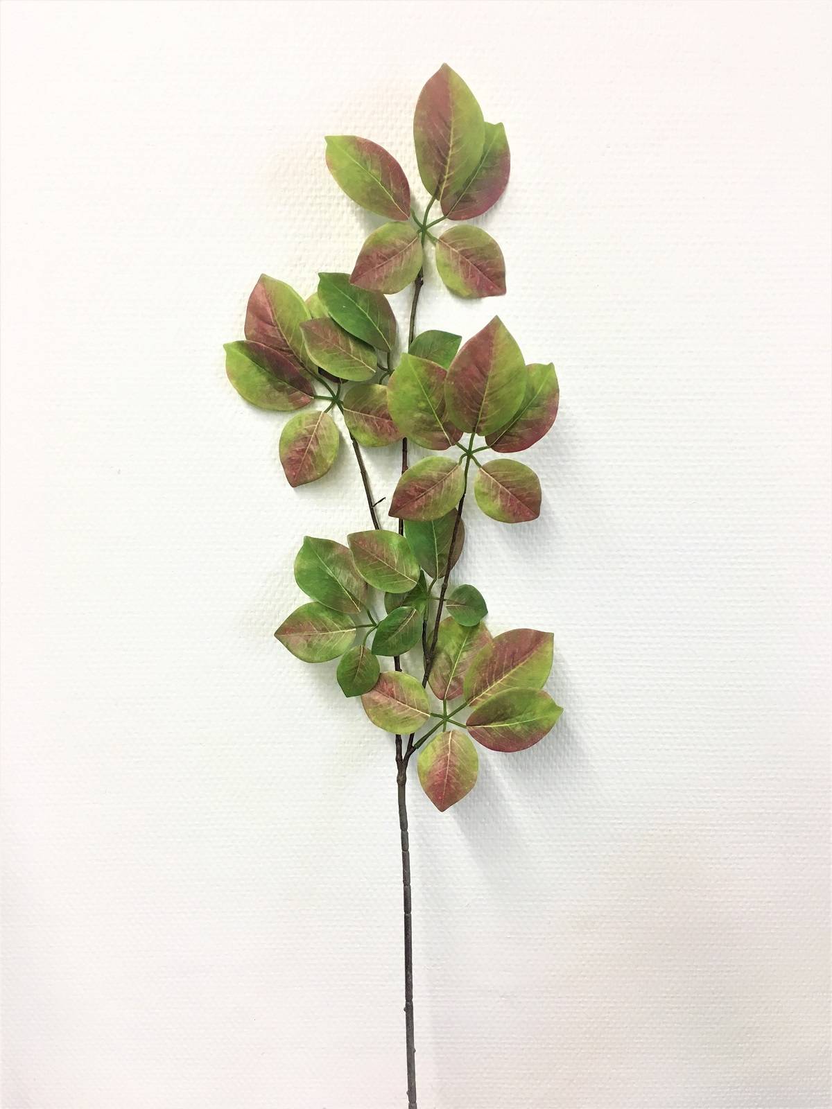 Kalyste - Kalyste - Tige artificielle Actinidia Rose et Vert L.92 cm