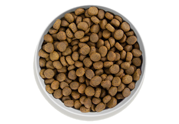 Canagan - Croquettes chien saumon/gibier à plume sans céréales 2 kg -Canagan - Image 3