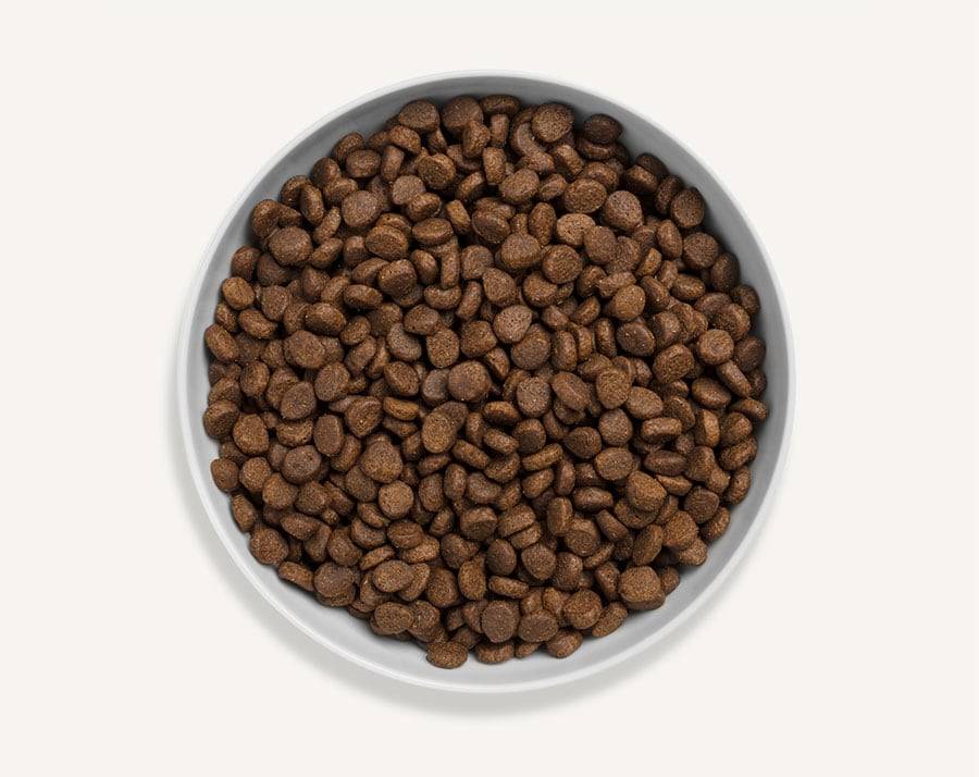Canagan - Croquettes chat au poulet fermier sans céréales 8 kg - Canagan - Image 2