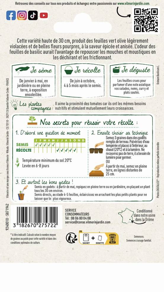 Vilmorin - Basilic thaï série 2 sachet graines 1 g - Vilmorin - Image 4