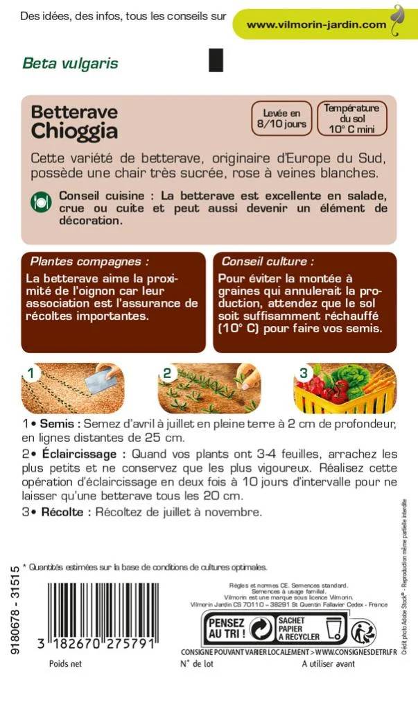Vilmorin - Betterave potagère Chioggia série 2 sachet graines 6 g - Vilmorin - Image 4