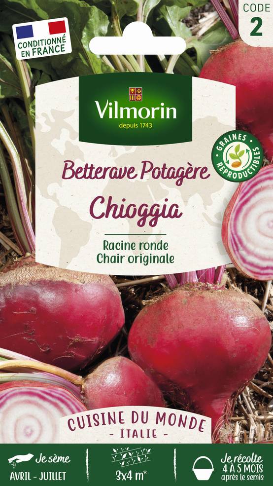 Vilmorin - Betterave potagère Chioggia série 2 sachet graines 6 g - Vilmorin - Image 2