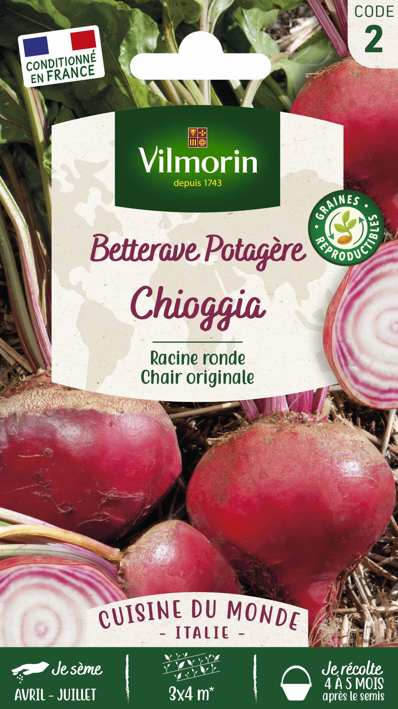 Vilmorin - Betterave potagère Chioggia série 2 sachet graines 6 g - Vilmorin - Image 2