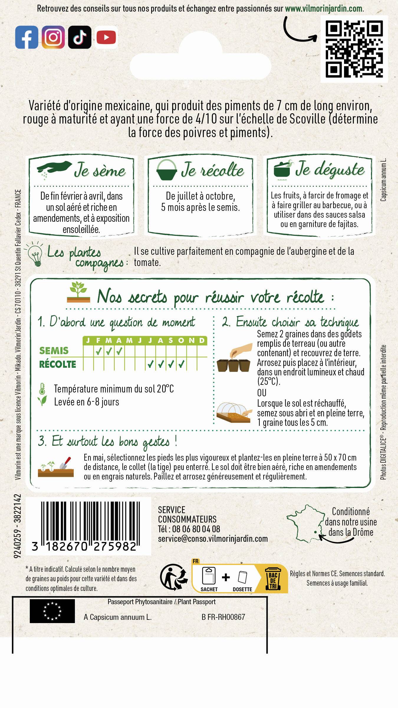 Vilmorin - Piment Jalapeno série 2 sachet graines 0,2 g - Vilmorin - Image 3