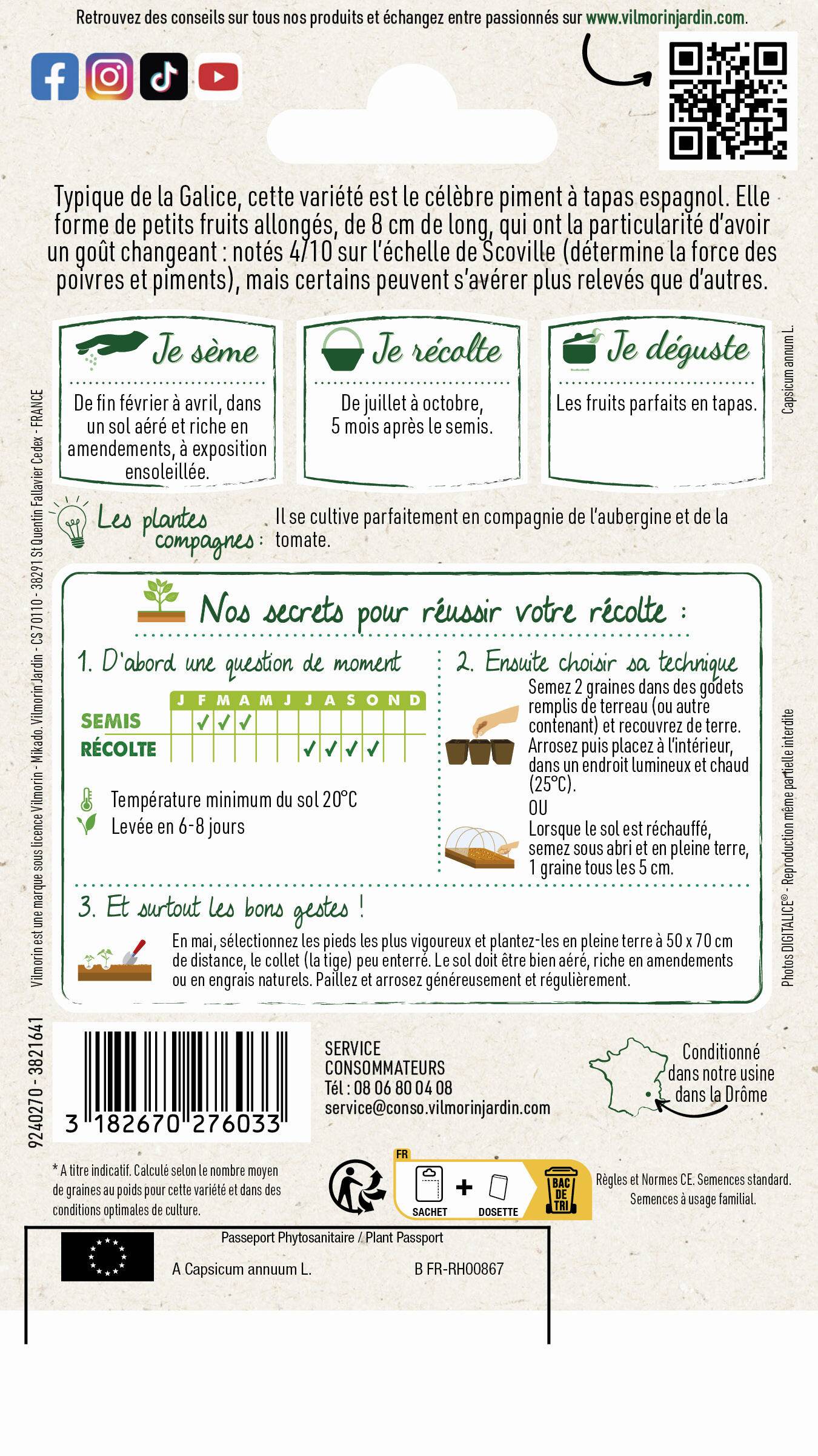 Vilmorin - Poivron Padron série 1 sachet graines 1 g - Vilmorin - Image 3