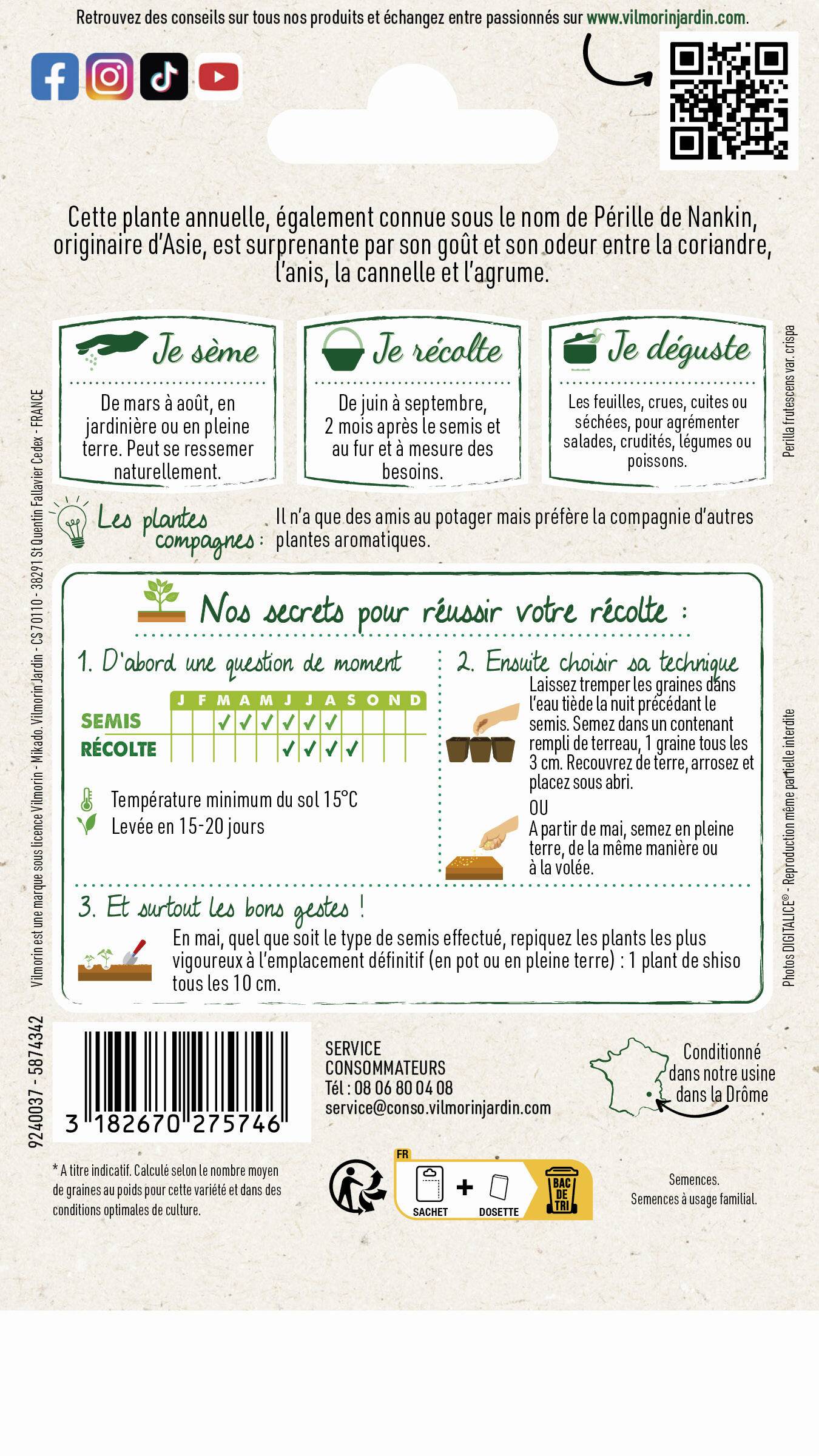 Vilmorin - Shiso vert persil japonais série 2 sachet graines 1 g - Vilmorin - Image 3