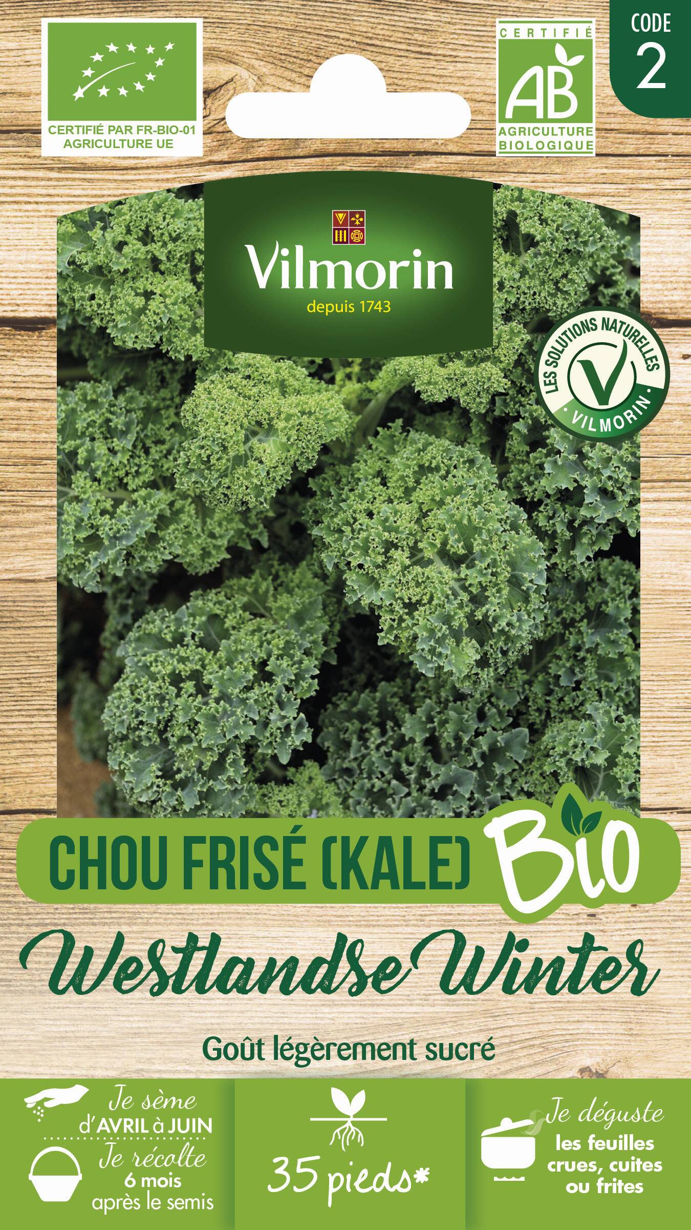 Vilmorin - Chou frisé ou kale westlandse Winter Bio série 2 sachet graines 1 g - Vilmorin