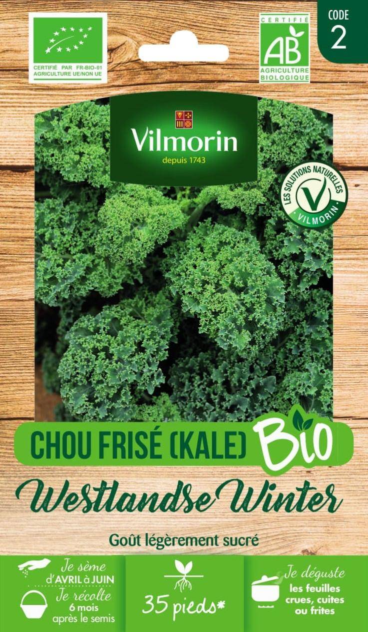 Vilmorin - Chou frisé ou kale westlandse Winter Bio série 2 sachet graines 1 g - Vilmorin - Image 2