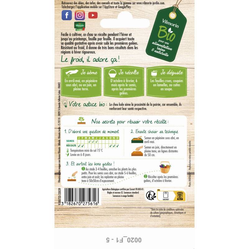 Vilmorin - Chou frisé ou kale westlandse Winter Bio série 2 sachet graines 1 g - Vilmorin - Image 1