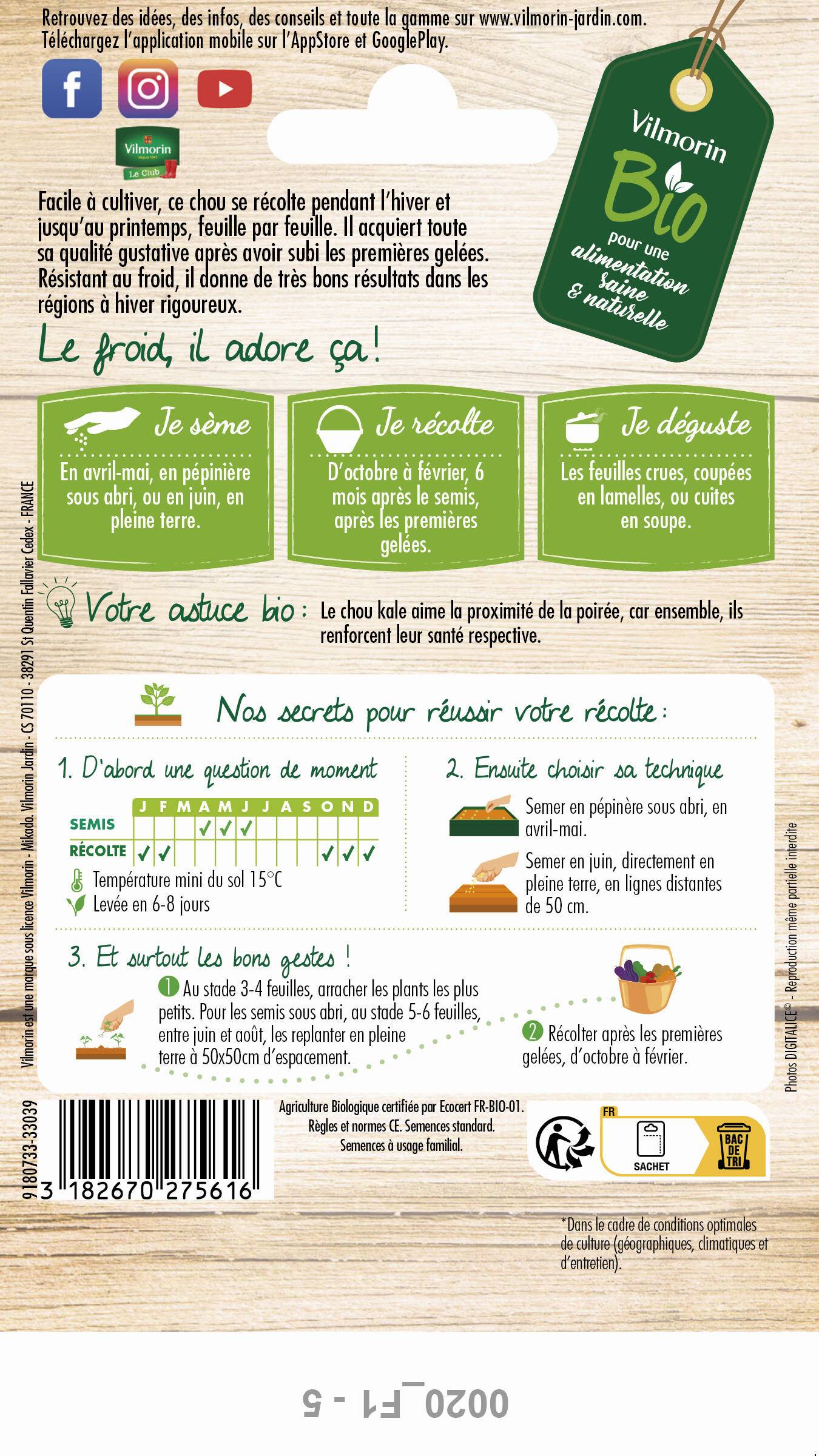 Vilmorin - Chou frisé ou kale westlandse Winter Bio série 2 sachet graines 1 g - Vilmorin - Image 4