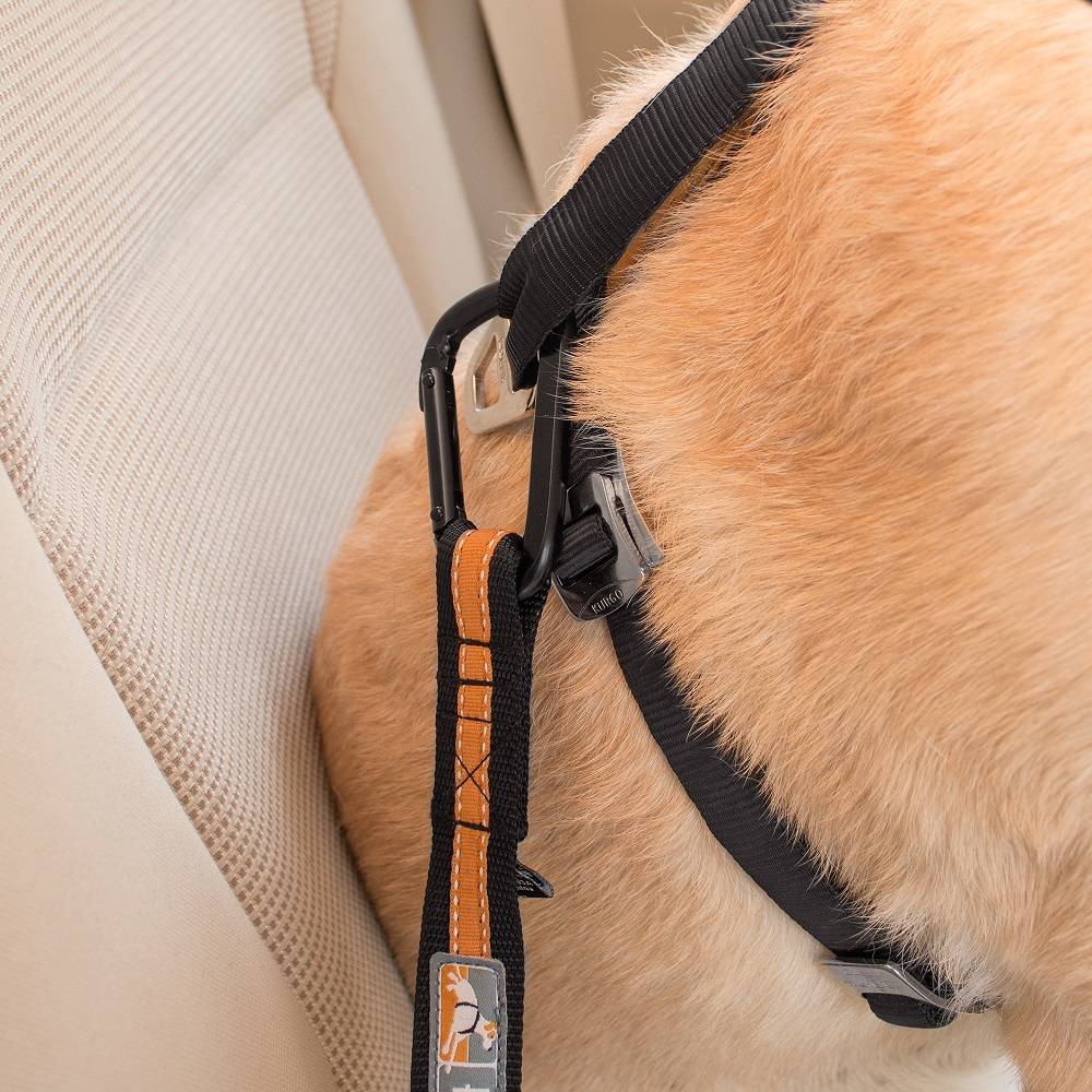 Attache securite "direct seatbelt" bleu - Image 5