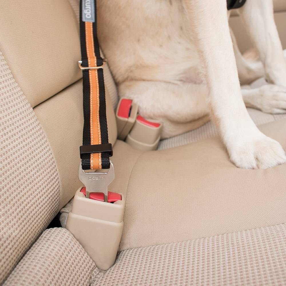 Attache securite "direct seatbelt" bleu - Image 2