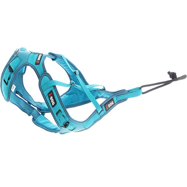 I-dog - Harnais Canicross X-Back Phoenix ALM Bleu 2XS - I-DOG - Image 3