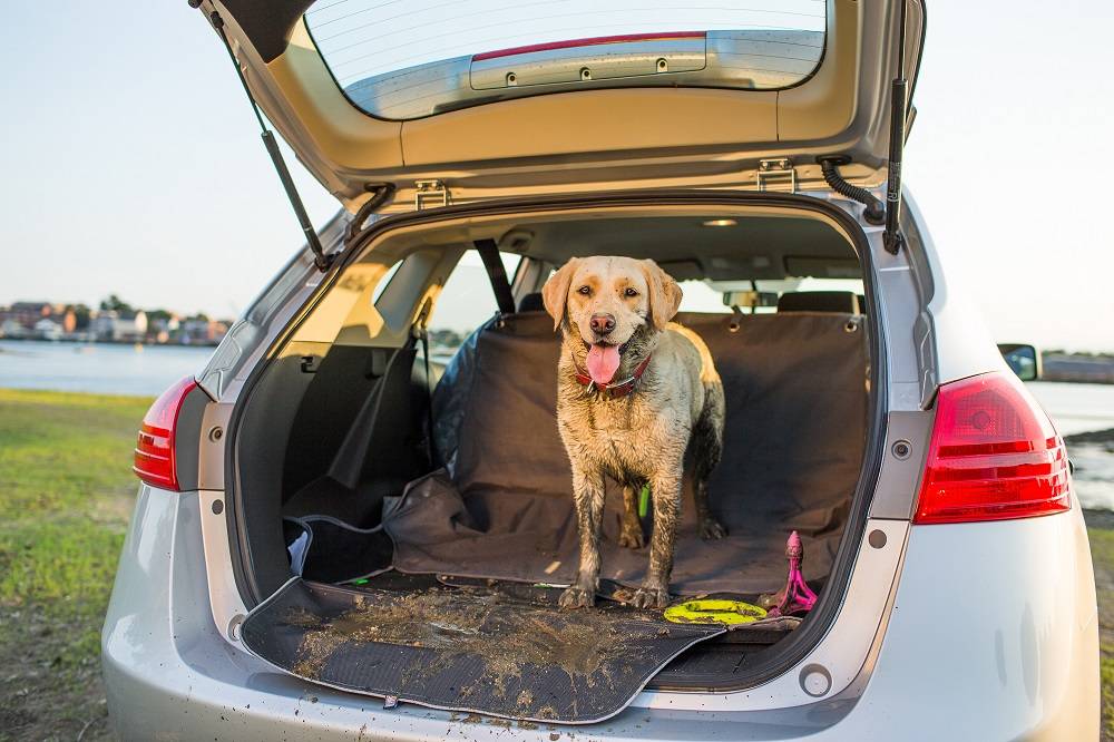 Tapis de coffre "cargo cape" - Image 3