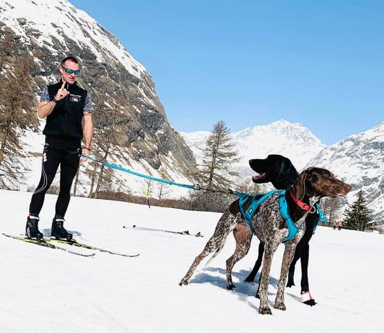 Idog - Longe Opale Long Strong Dog – MAXIDOG - Image 4