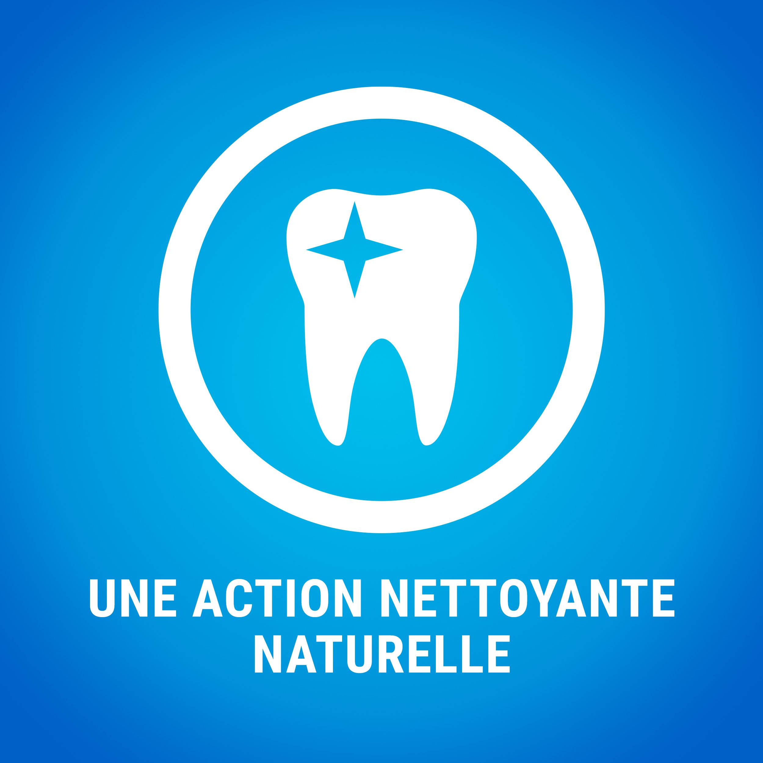 Purina One - Biscuits Bâtonnets à Mâcher chien Extra Mini 207 g - DENTALIFE - Image 10